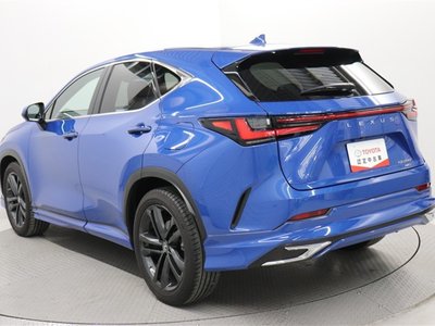 LEXUS NX - 4