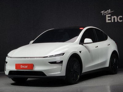 TESLA MODEL Y - 1