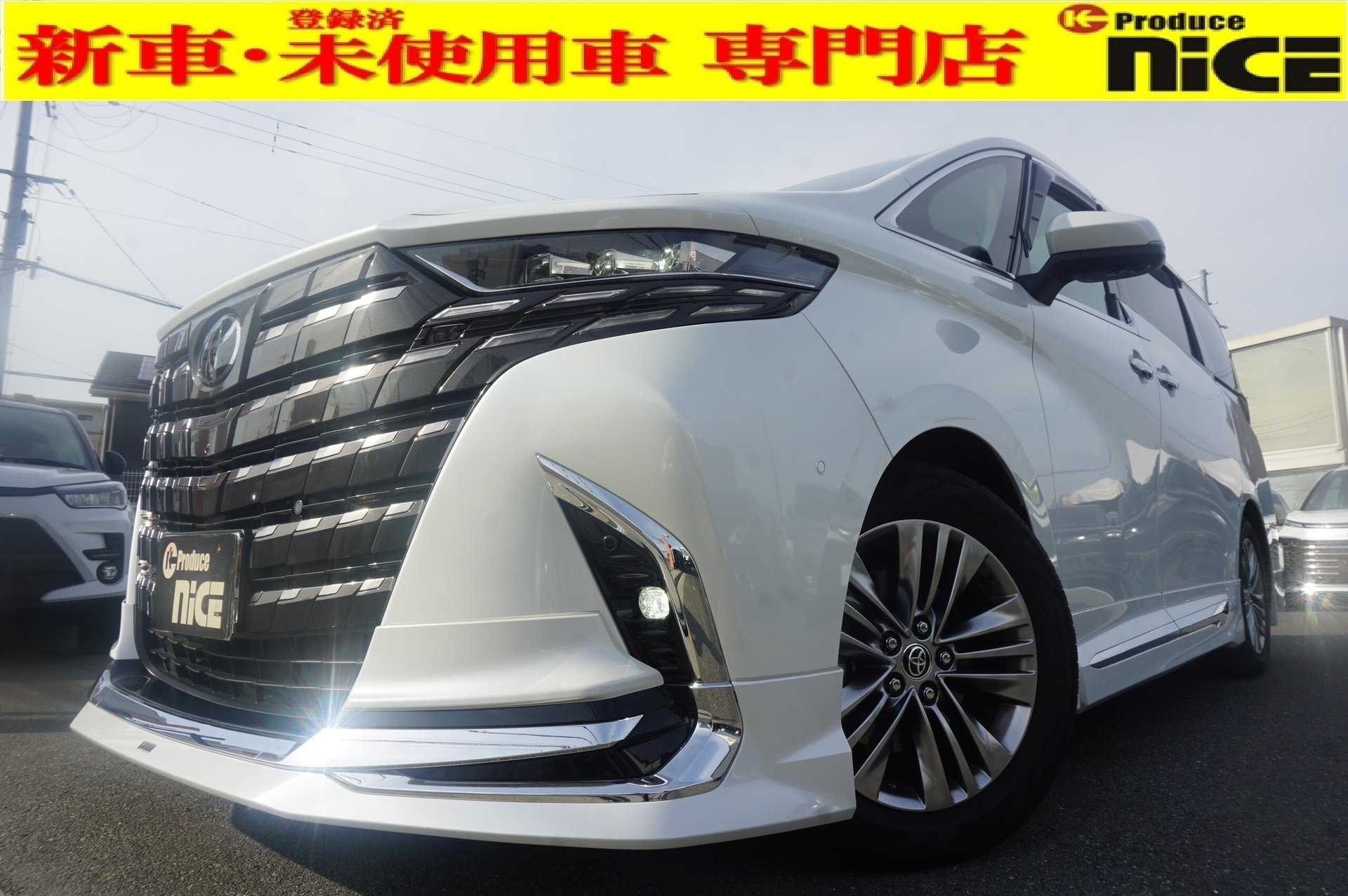 TOYOTA ALPHARD - View 1