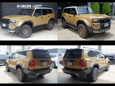 2025 Toyota LAND CRUISER 250 缩略图 14