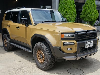 2025 Toyota LAND CRUISER 250 — фото 3