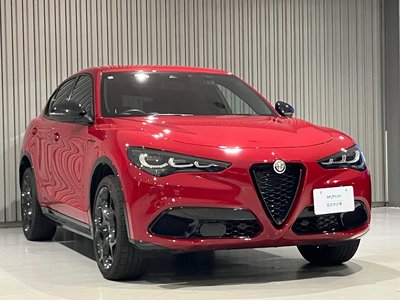 2025 ALFA Romeo STELVIO 照片 3