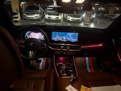 2024 BMW X7 照片 10