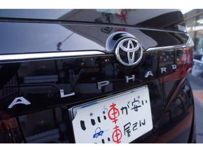 2025 TOYOTA ALPHARD 缩略图 22