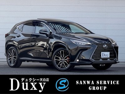 LEXUS NX - 1