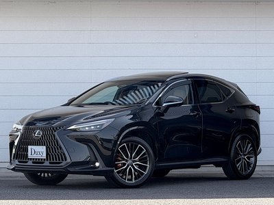 LEXUS NX - 7