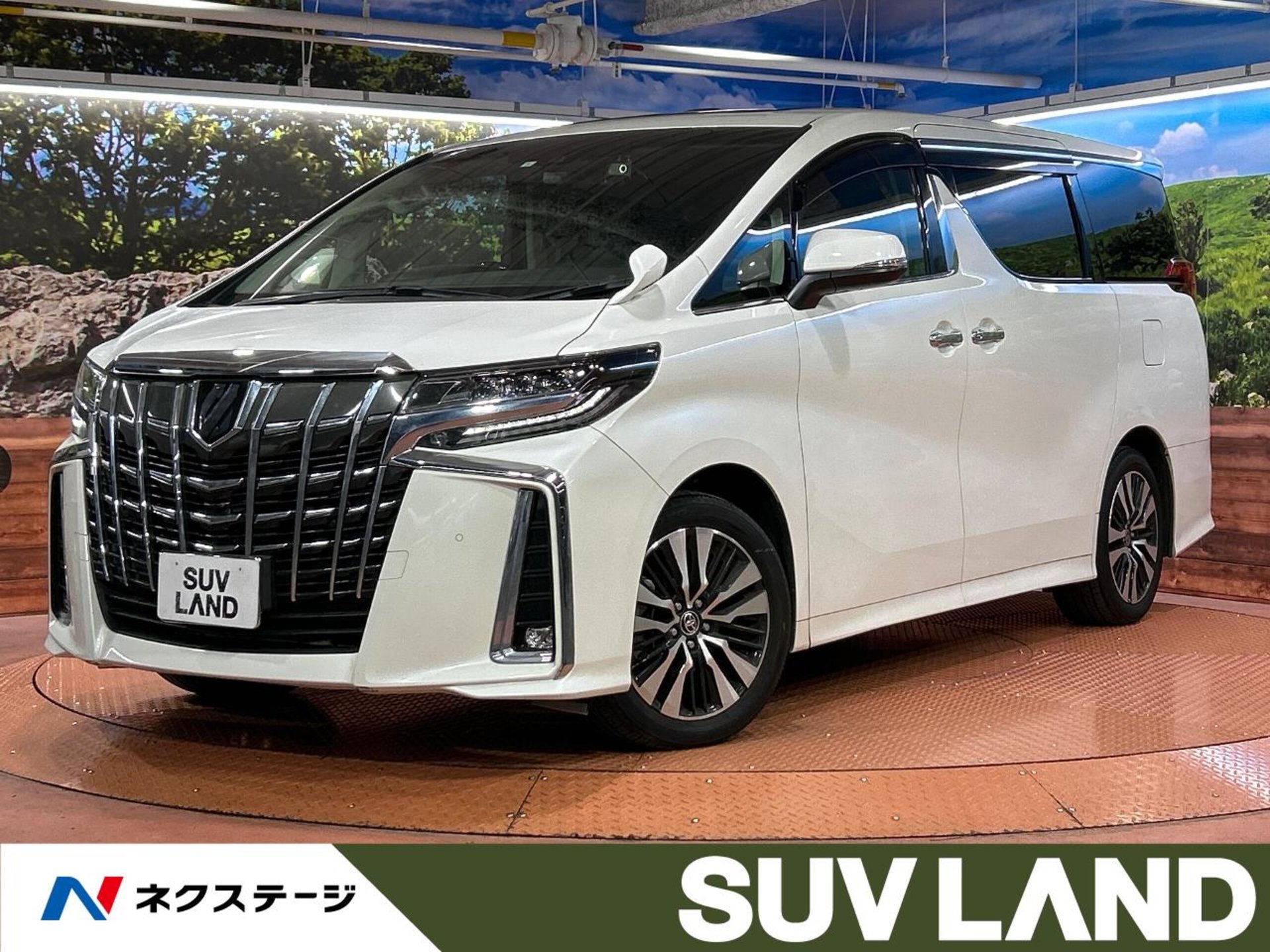 TOYOTA ALPHARD - View 1