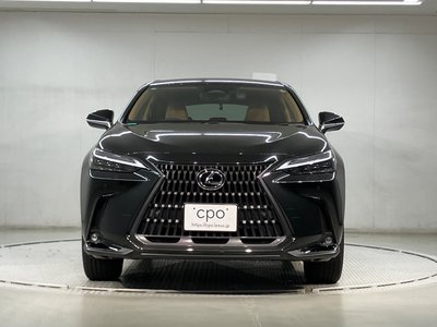 LEXUS NX - 2