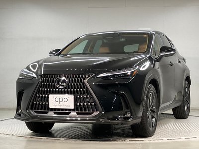 LEXUS NX - 1