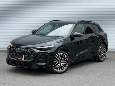 2025 AUDI SQ5 缩略图 23