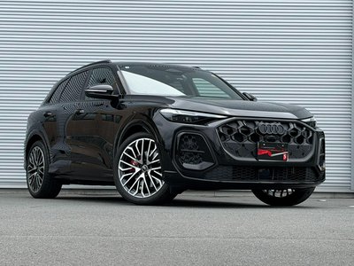 2025 AUDI SQ5 缩略图 30
