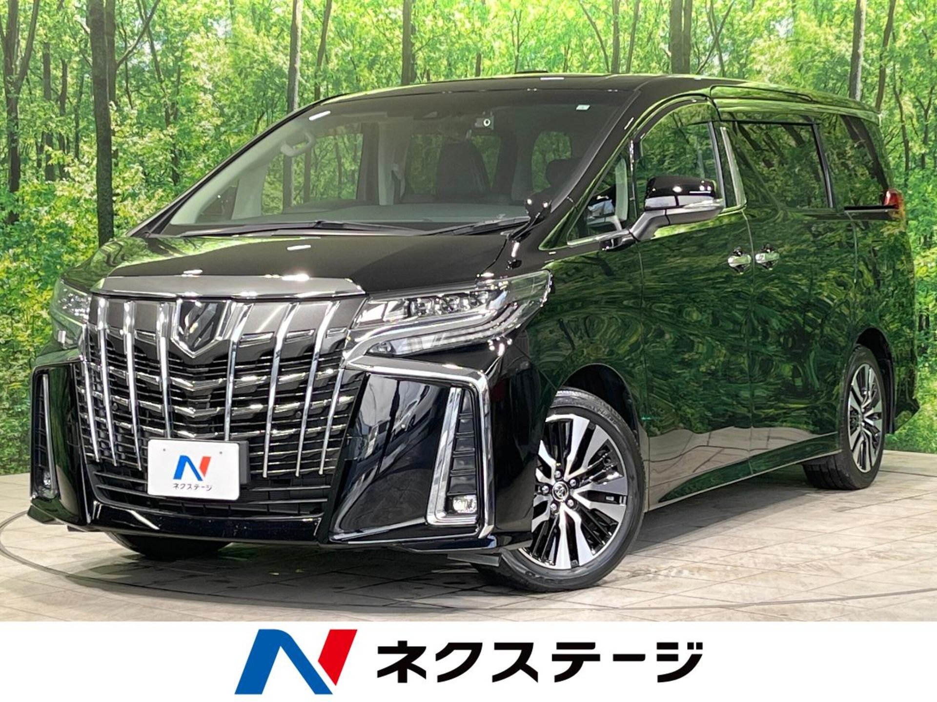 TOYOTA ALPHARD - View 1