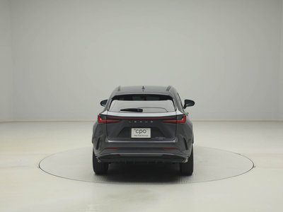 LEXUS NX - 6