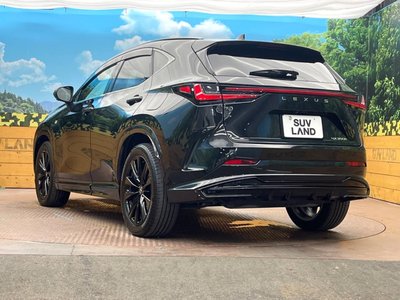 2025 Lexus NX — миниатюра 28