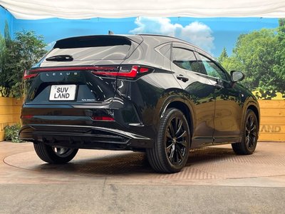 2025 Lexus NX — миниатюра 17