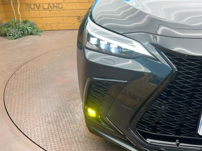 2025 Lexus NX — миниатюра 12