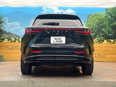 2025 Lexus NX — миниатюра 15