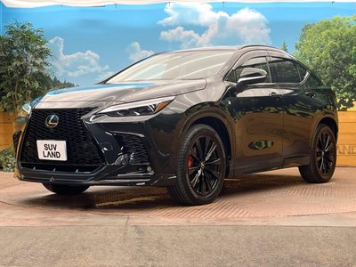 2025 Lexus NX — миниатюра 27