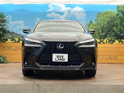 2025 Lexus NX — миниатюра 14