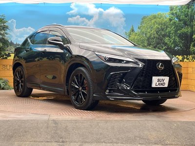 2025 Lexus NX — миниатюра 16