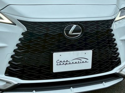 2025 Lexus RX — миниатюра 12