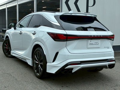 2025 Lexus RX — миниатюра 25
