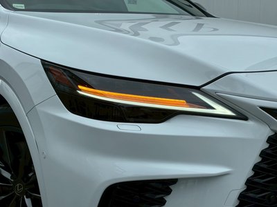 2025 Lexus RX — миниатюра 15
