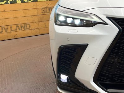 2024 Lexus NX 缩略图 12