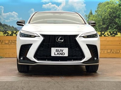 2024 Lexus NX 缩略图 14