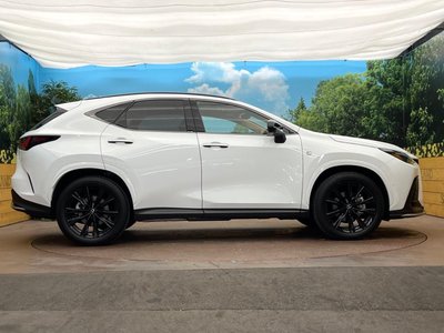 2024 Lexus NX 缩略图 31