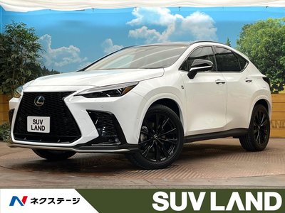 LEXUS NX - 1