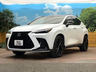 2024 Lexus NX 缩略图 30