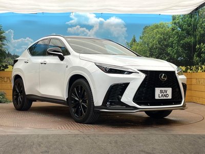 2024 Lexus NX 缩略图 16