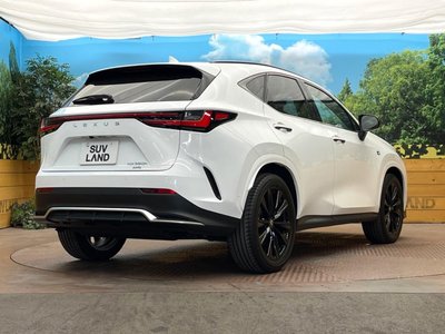2024 Lexus NX 缩略图 17