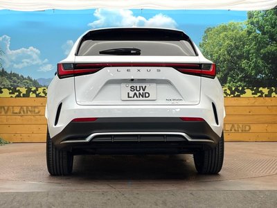 2024 Lexus NX 缩略图 15