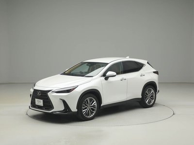 LEXUS NX - 6