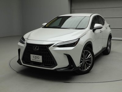 LEXUS NX - 1