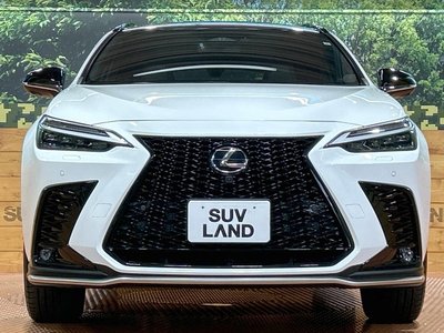 صورة مصغرة 14 لـ 2023 Lexus NX