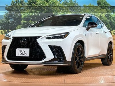 صورة مصغرة 26 لـ 2023 Lexus NX