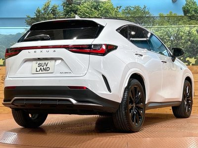 صورة مصغرة 17 لـ 2023 Lexus NX