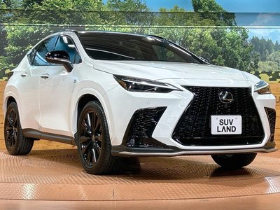صورة مصغرة 16 لـ 2023 Lexus NX