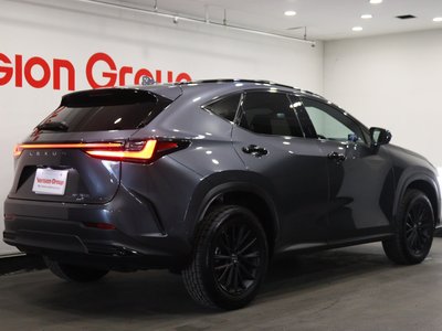 LEXUS NX - 4