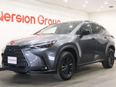 LEXUS NX - 6