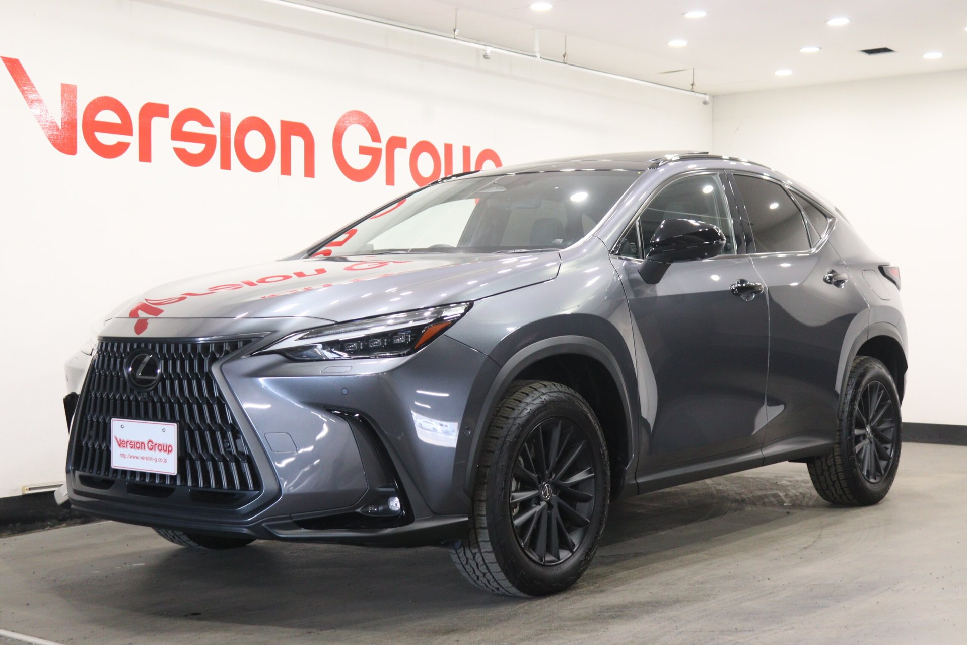 LEXUS NX - View 1