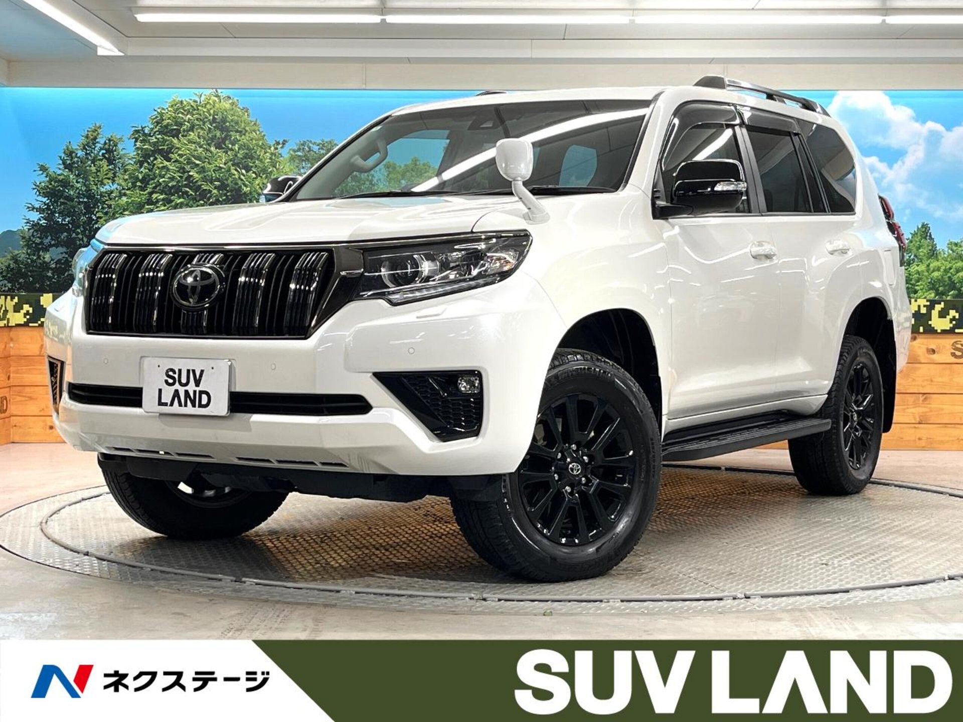 TOYOTA LAND CRUISER PRADO - View 1