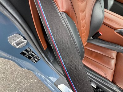 2021 BMW 8 SERIES 缩略图 38