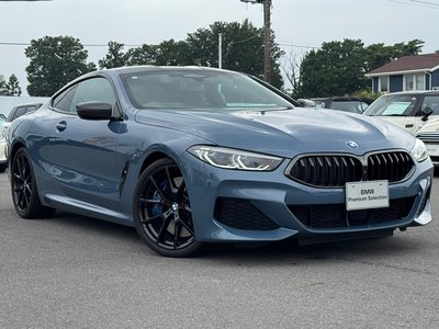 2021 BMW 8 SERIES 缩略图 64