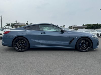 2021 BMW 8 SERIES 缩略图 65