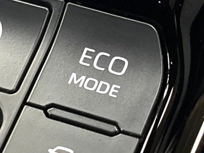 صورة مصغرة 30 لـ 2025 TOYOTA ALPHARD