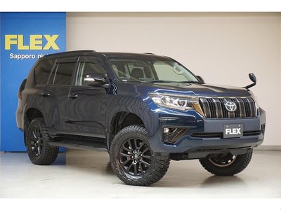 TOYOTA LAND CRUISER PRADO - 9